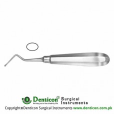 Modell USA Bone Curette Oval - Fig. 5 - Right Stainless Steel, 15.5 cm - 6"
